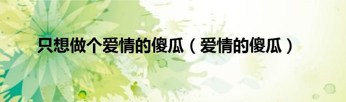 只想做一个爱情的傻瓜,只想安稳有个家（只想做你爱情的傻瓜）