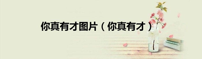 你真是太有才了宋丹丹（你真是太有才了图片）