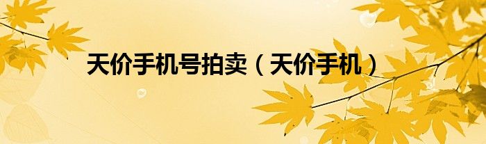 天价手机号靓号（手机号码拍卖天价）