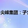 尖峰集团：子公司获药品补充申请批准通知书