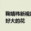 鞠婧祎新视线WONDERLAN杂志大片 胸前好大的花