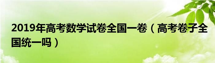 2019数学高考试卷全国卷1（2019年数学高考全国1卷）