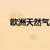 欧洲天然气期货冲高回落，最终跌超1%