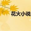 花火小说推荐虐文（花火小说推荐）