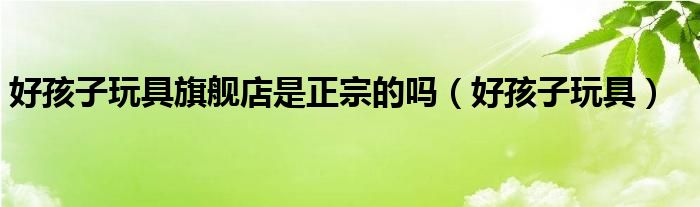 好孩子玩具旗舰店（好孩子玩具官方旗舰店）