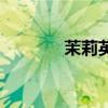 茉莉英文怎么写（茉莉英文）