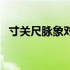 寸关尺脉象对照表（寸关尺的准确位置图）