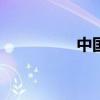 中国中药港股高开9.5%
