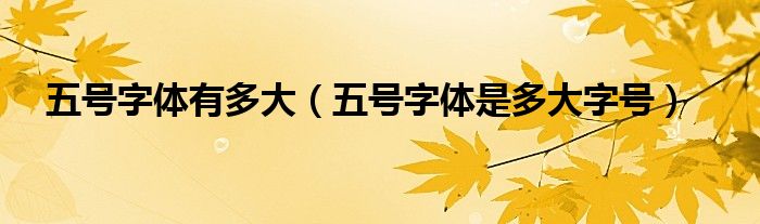 5号字体是多大（5号字体是多少字号）