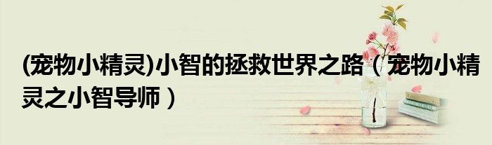 宠物精灵小智来自哪里（《宠物小精灵之小智导师》）