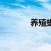 养殖蝎子可靠吗（养殖蝎子）