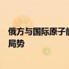 俄方与国际原子能机构总干事通电话，讨论两座核电站周边局势