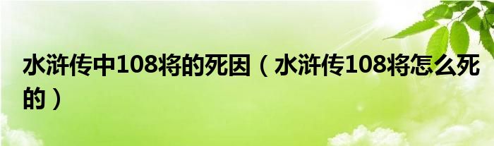 水浒传108将的死是谁的错（水浒传108将是怎么死的视频）