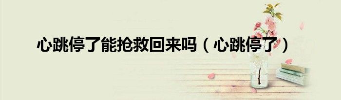 心跳停止还有救吗（心跳停了是不是就死了）