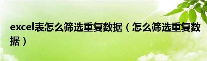 excel表怎么筛选重复的数据（excel表里怎么筛选重复的数据）