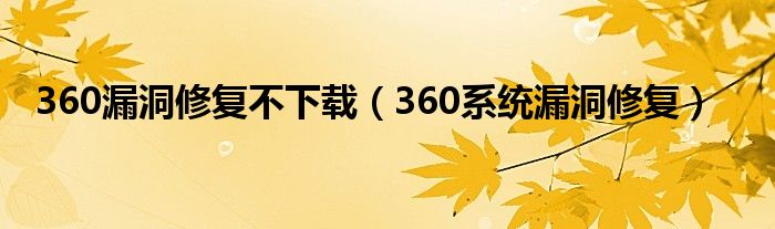 360漏洞修复网管版（360的漏洞修复是自动修复还是手动）