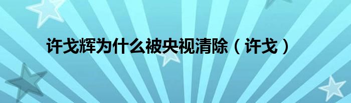 央视主持人许戈辉的丈夫是谁（央视许戈辉最新消息）
