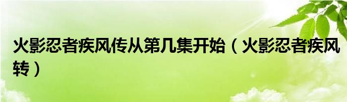 火影忍者疾风转（火影忍者疾风传手游月光疾风）
