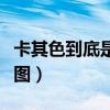 卡其色到底是什么颜色（卡其色是什么颜色求图）