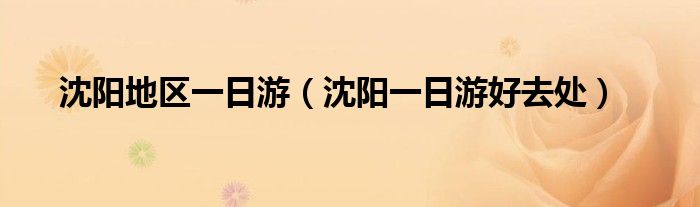 沈阳一日游有什么好玩的地方（沈阳一日游有什么好去处）