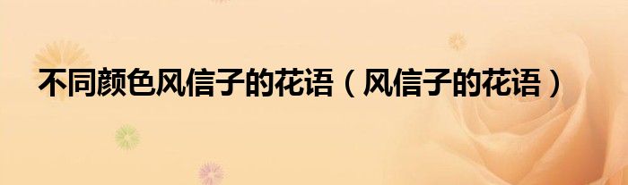 不同颜色风信子象征着什么意思（不同颜色的风信子的代表意义）