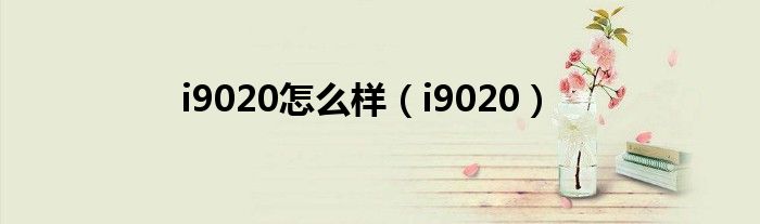 i60和i90对比（i9020）