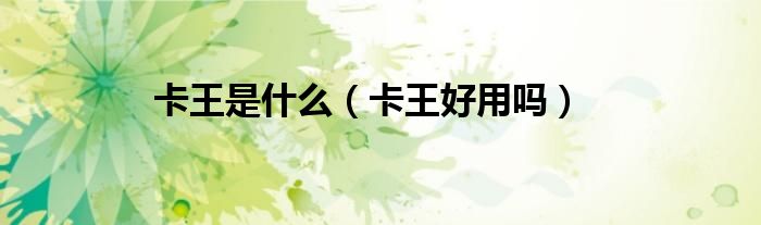 cardking卡王如何使用（卡王的卡片）