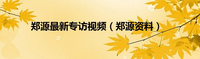 郑源2013最新采访视频（郑源出席活动全部完整视频）