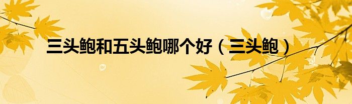 三头鲍贵还是32头鲍最贵（三头鲍与二头鲍的价格）