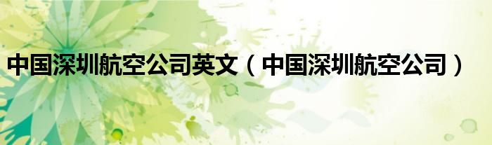 深圳航空的英文代码（深圳航空公司英文名称）