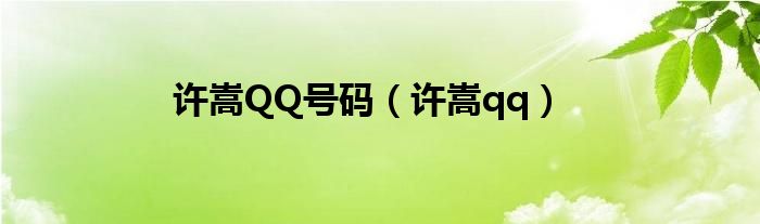 许嵩的粉丝qq群号是多少（许嵩的粉丝qq群）