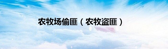 农场牧场偷匪下载（农牧场是什么意思）