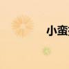 小蛮拆箱视频（小蛮手办）