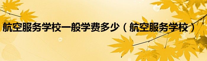 航空服务一年学费多少钱（航空服务一年学费多少钱）
