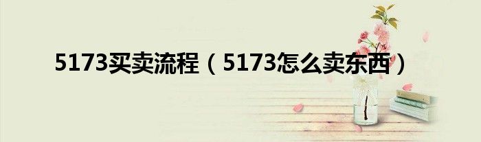 5173账号交易平台怎么卖（5173交易平台流程）