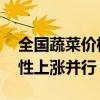 全国蔬菜价格创十年新高 供应链挑战与季节性上涨并行