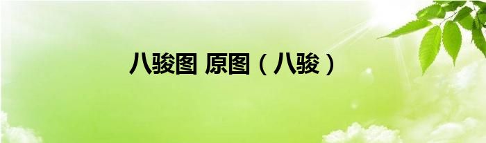 唐八骏图是哪八骏（八骏图图片）