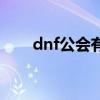 dnf公会有什么福利（dnf公会基金）