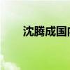 沈腾成国内暑期档首位票房百亿先生