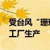 受台风“珊珊”影响 丰田汽车暂停日本所有工厂生产