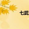 七武海有哪些人（七武海）