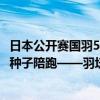 日本公开赛国羽5胜2负：锁定2项决赛，石宇奇生死战，8大种子陪跑——羽坛荣耀之战