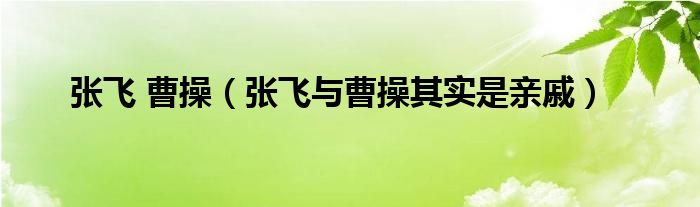 张飞和张郃的武力对比（张飞和张郃是亲戚吗）
