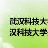 武汉科技大学是211大学还是985大学?（武汉科技大学是211）