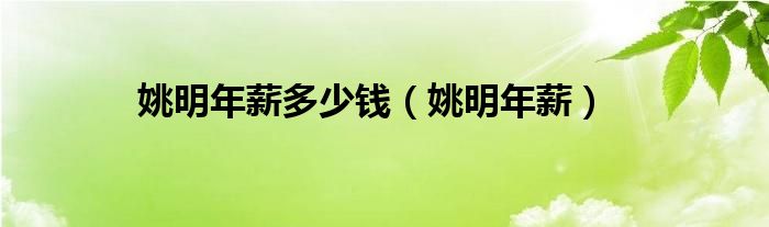 姚明年薪多少万（姚明年薪多少钱nba）