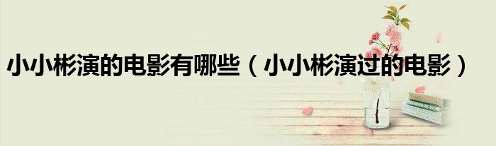 小小彬拍的电影（小小彬拍的哪些电影）