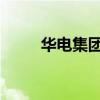 华电集团成立绿氢科技能源新公司