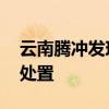 云南腾冲发现一窝烙铁头毒蛇 已移交林草局处置