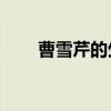曹雪芹的生平20字（曹雪芹的生平）
