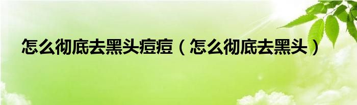 怎么才能快速写完作业（怎么才能快速祛黑头和痘痘）